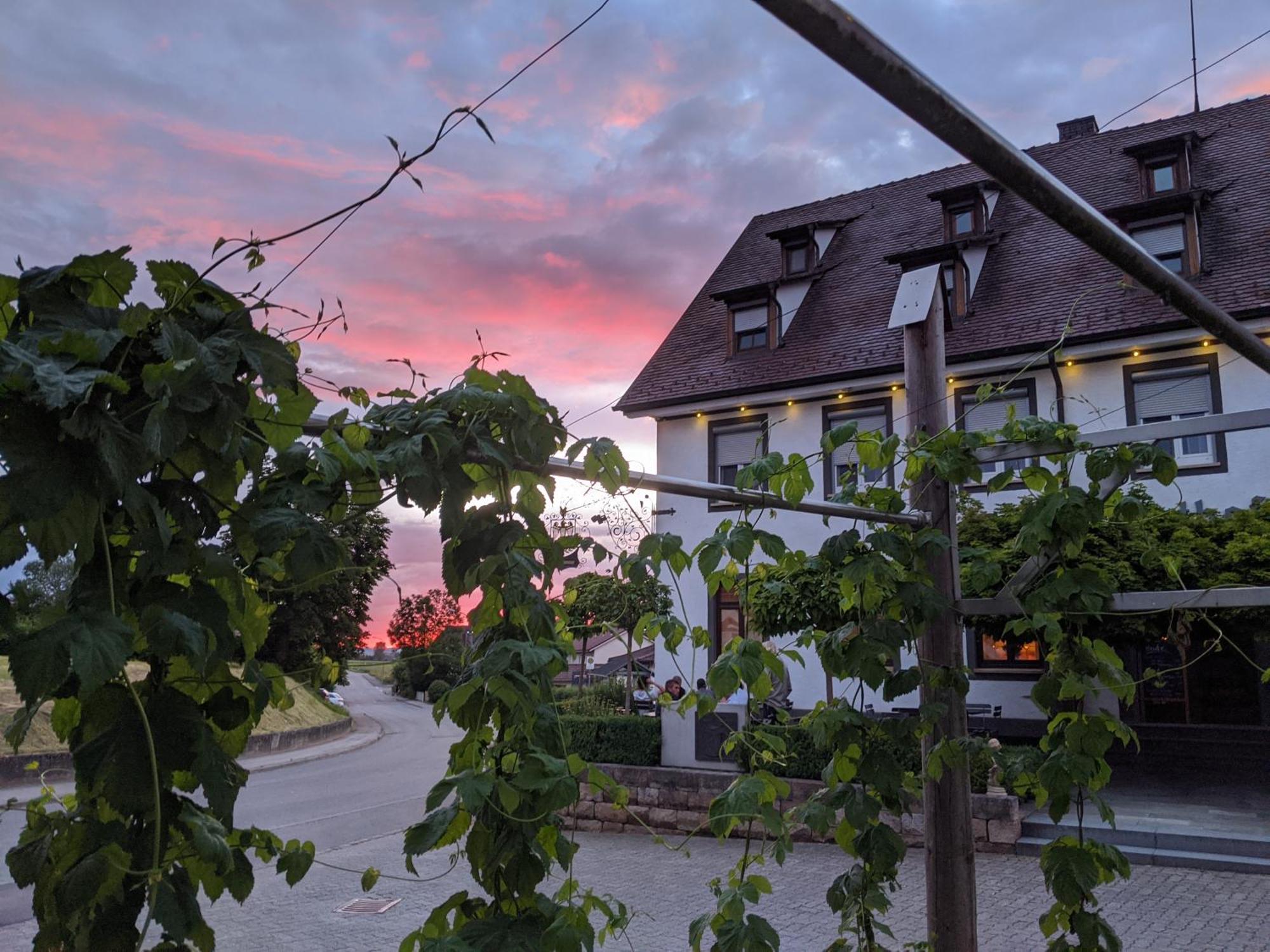 Brauereigasthof Adler Oberstadion 外观 照片